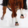 Colorado Attractions Thumbnail 5