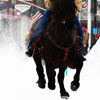 Colorado Ski Joring Thumbnail 7