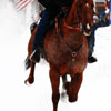 Leadville Horse Ski Joring Thumbnail 3